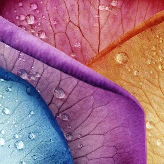 2022-2023 Fall Winter Color Trend