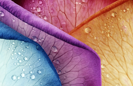 2022 Spring Summer Color Trend